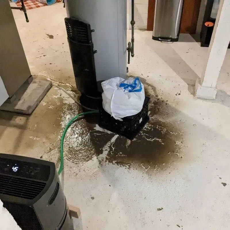 Sewage Backup Cleanup Service in Fountain Green, UT